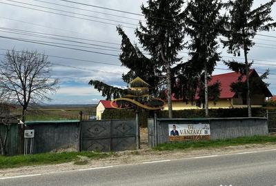 Teren în Traian - 3