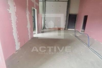 Hala cu curte proprie -zona napolact - 10