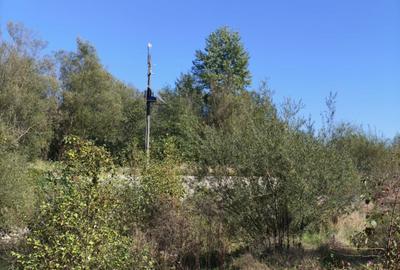 Teren imprejmuit cu iaz indiguit, 7200mp, Fratautii Vechi, R - 5