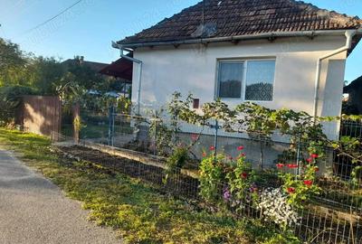 Casa de Vanzare Locuibila - 3