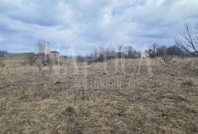 Teren Construcții intravilan de 7148 mp, în Zorilor - 3
