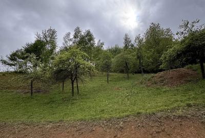 Spațiu comercial, în Bratca - 4
