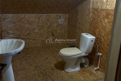 Casă cu 5 camere cu Teren 500 Mp în Crevedia - 11