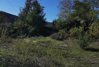 Casă cu Teren 1550 Mp în Somova - 2