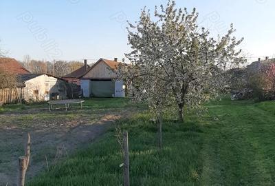 Casă cu 2 camere cu Teren 2000 Mp în Central - 4