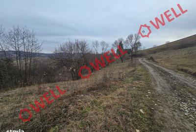 Teren de 4200 mp, în Barcani - 3