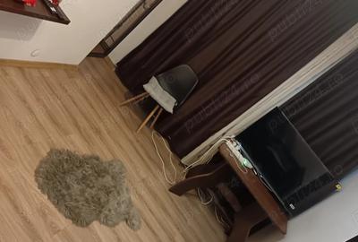 Caut coleg apartament - 6