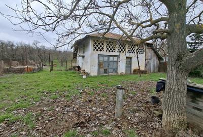 Casă individuală cu 4 camere cu Teren 2570 Mp în Teiu - 2