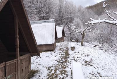 Casa de vacanta, cu lac, 5640 mp teren, Huta, com. Chiuiesti, jud. Cluj Casa de vacanta, cu lac, 5640 mp teren, Huta, com. Chiuiesti, jud. Cluj - 45