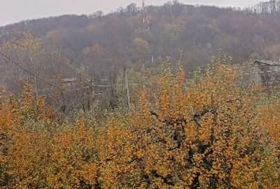 CASĂ TEREN DE VÂNZARE ÎN BOȚEȘTI -ARGEȘ - 1