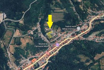 Teren de 2500 mp, în Vest - 15