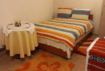 CHELTUIELI INCLUSE: Camera de inchiriat la demisol zona Penny Autogara CHELTUIELI INCLUSE: Camera de inchiriat la demisol zona Penny Autogara - 3