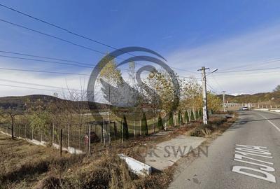 Teren de 26908 mp, în Iedera - 2