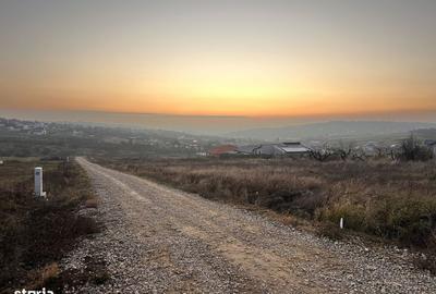 Teren de 900 mp, în Iorga - 4