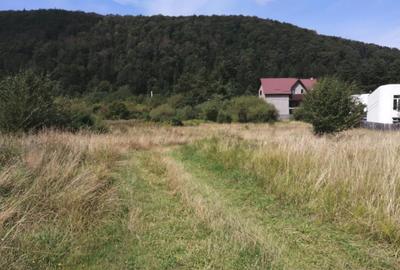 Teren Construcții intravilan de 6800 mp, în Săcele - 4