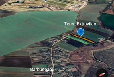 Teren - Barbuceanu - 10.000 mp - 2