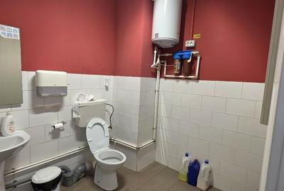 Spațiu industrial, de 450 mp, în Industriilor - 11