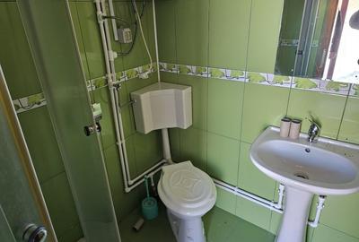 Casa de vacanta cu 6 camere + teren suprafata 7.384 mp, Bradet, Bihor - 18