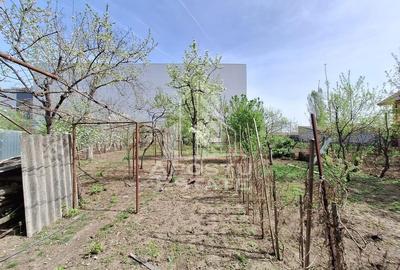 Casa "la gri" cu gradina, zona Calea Aurel Vlaicu - Bujac - 12