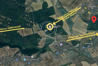 Padure de vanzare - Padurea lui Bolete, Fierbinti-Targ - 3