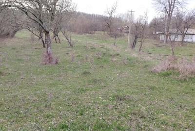 Teren de 4200 mp, în Bisoca - 1