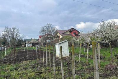 Teren Construcții intravilan de 927 mp, în Galata - 5