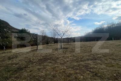 Teren Extravilan, 2526 mp, zona Slatinitei - 1