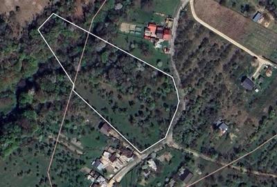 11.600mp teren, partial extravilan,Valea Mare Pravat, 2 km de Campulung Muscel - 3