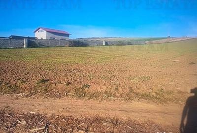 Teren de 5000 mp, în Șimnicu de Sus