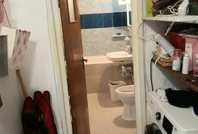 Colentina Rau, Mc Donalds, Parc Plumbuita, stradal - 18