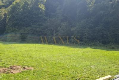 Teren Construcții de 1000 mp, în Valea Ierii - 3