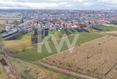 Teren 10000 mp in Extravilan, Bod, Brasov- COMISION 0% - 6