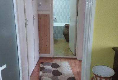 Apartament cu 2 camere semidecomandat în Prundu - 8