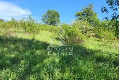 Teren intravilan, In Rate Cuied Arad - 1