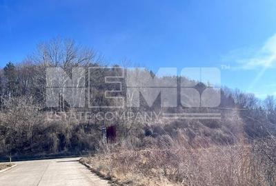 Vanzare I tTerenIntravilan I Suceava/Itcani I 18650 Mp I 89Euro/Mp - 7