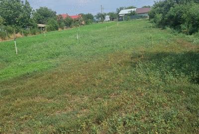 Teren de 3600 mp, în Plosca - 1