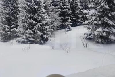 Studio cochet Predeal - mobilat, utilat, vedere superba! - 11