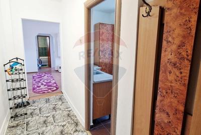 Apartament cu 2 camere semidecomandat, mobilat în Șega - 8