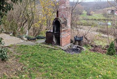 Casă cu 1 camere cu Teren 1100 Mp în Viișoara - 3