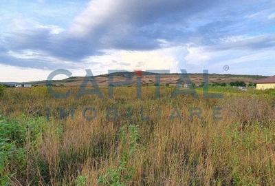 Teren intravilan 23750 mp, Zalau - 4