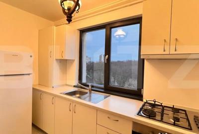 Apartament cu 2 camere decomandat, mobilat în Brazda lui Novac - 10