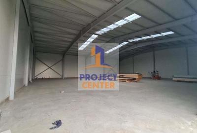 Hala industriala, Bradu, DN 65B - 7