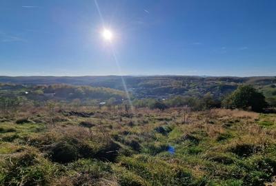 Teren Construcții intravilan de 2733 mp, în Feleacu - 6