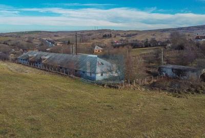 Teren Construcții intravilan de 7400 mp, în Păniceni - 3