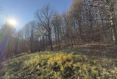 Spațiu comercial, în Central - 3