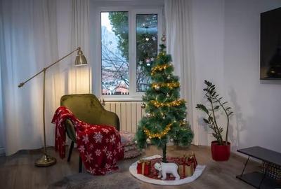 Apartament cu 2 camere decomandat în Drumul Poienii - 10