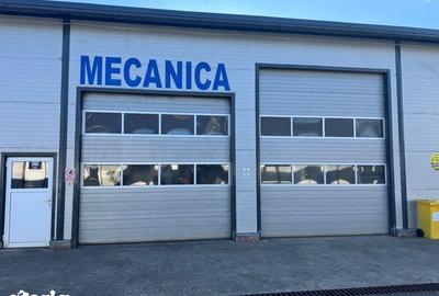 Spațiu comercial, de 1,433 mp, în Groși - 4