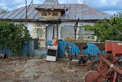 Casă cu Teren 3178 Mp în Lungani - 2