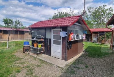 Casă cu 4 camere cu Teren 1800 Mp în Măgurele - 5