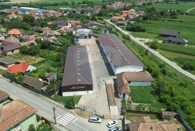 Spațiu comercial, de 2,500 mp, în Sângeorgiu de Pădure - 15
